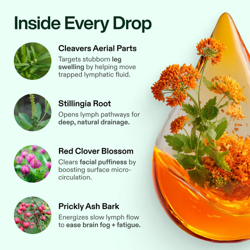 Byvax Lymphatic Drainage